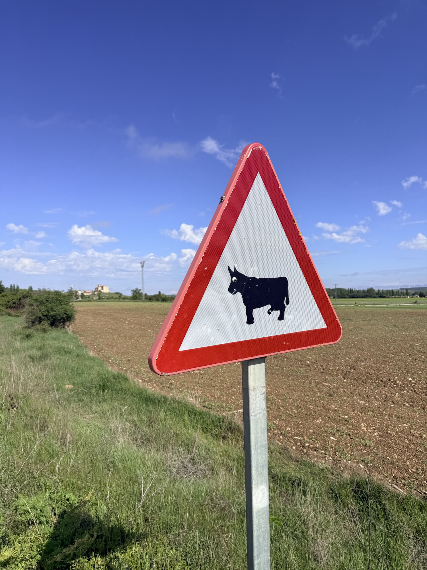 VILLAFRANCA – CARDENUELA RIOPICO